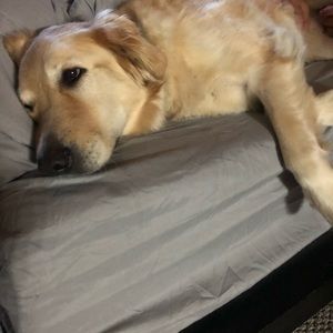 Meet your Posher, Ashlee